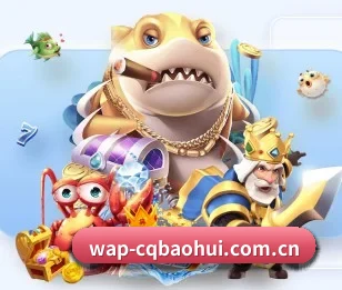 说球帝官网的故事